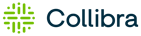 Collibra-12295810695-250804_19_22_21